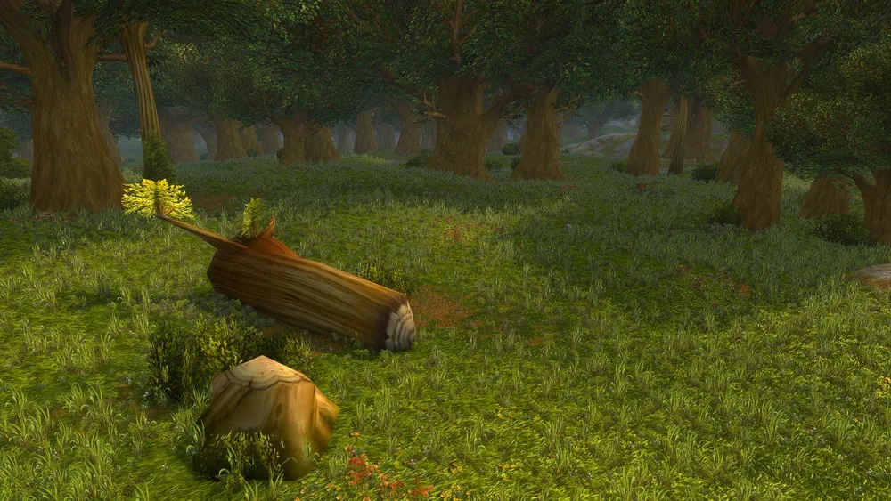 Elwynn Forest — Classic landscape reference.